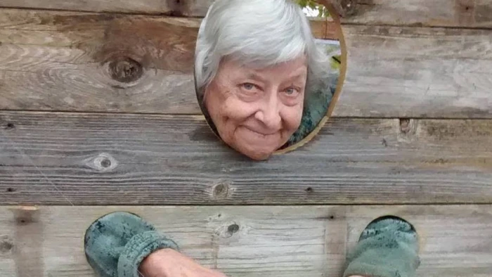 An older woman in the wooden stocks.