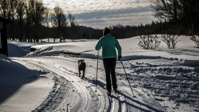 A person in a green jacket cross-country skis on a snowy path with a dog