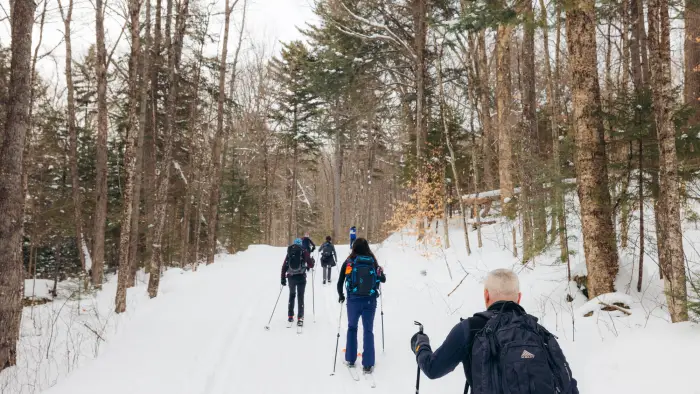 people xc skiing
