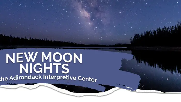 New Moon Nights