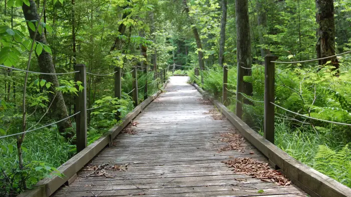 boardwalk
