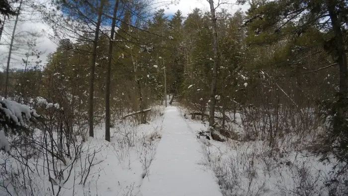 trail-in-winter