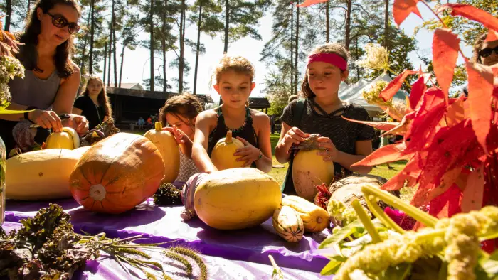 Kids looks at gourds