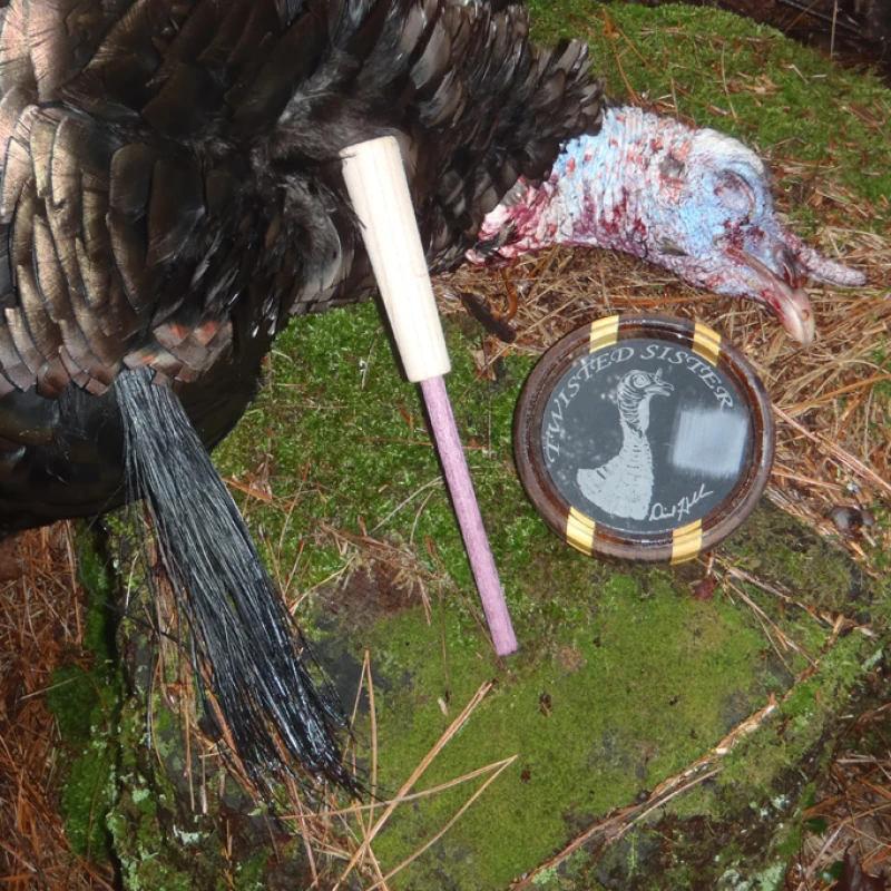 Second chance gobbler: Bow plan unravels