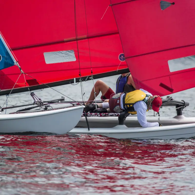 Watch or ride: The Schroon Lake Hobie Cat Regatta