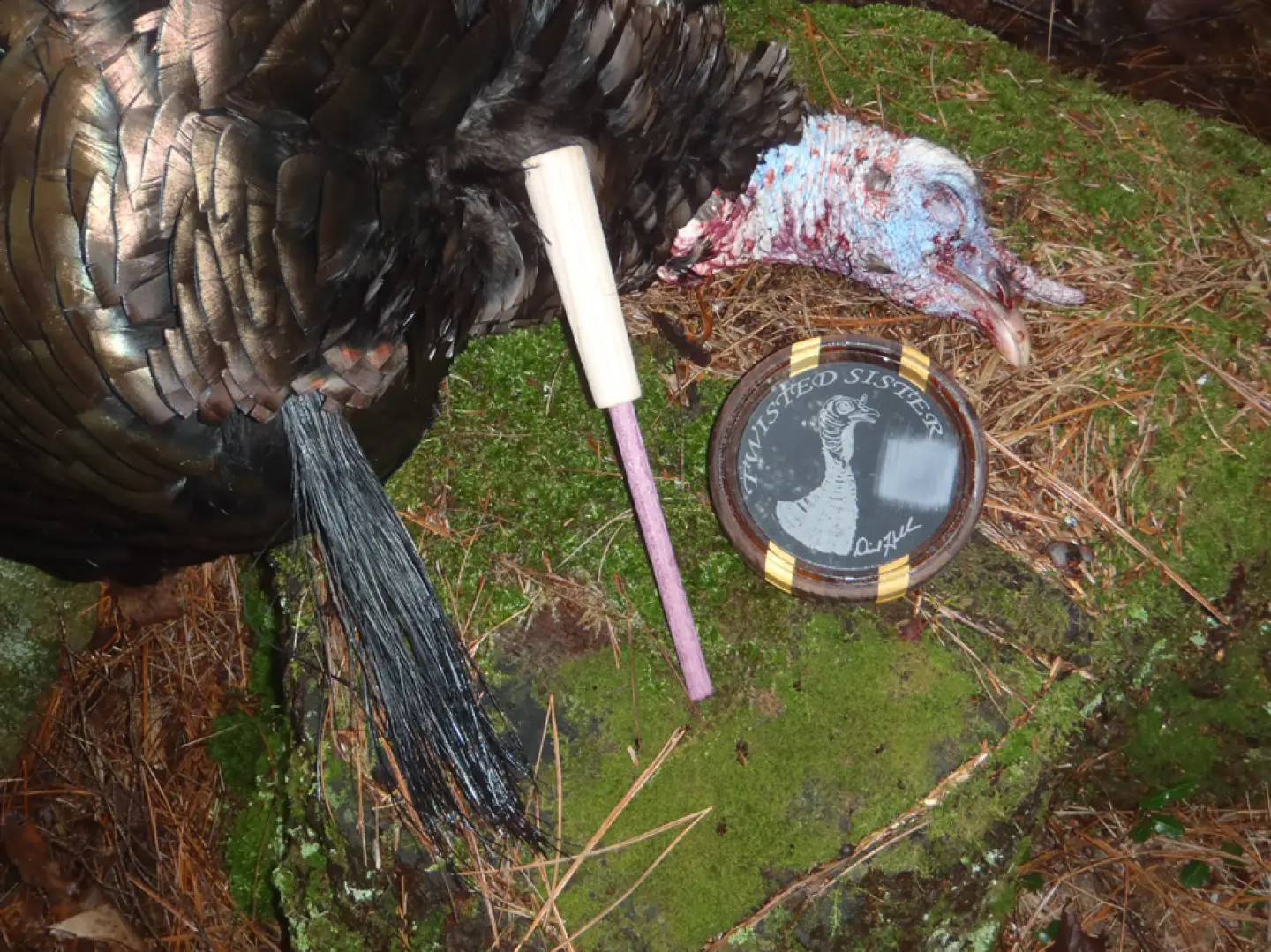 Second chance gobbler: Bow plan unravels
