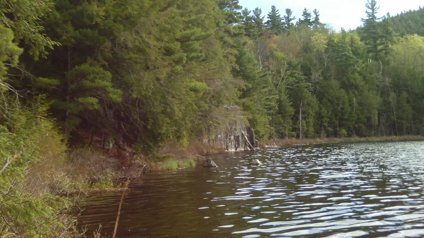 Spotting Wildlife: Moose Mt. Pond