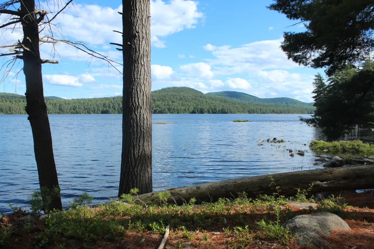 Four Ways to Camp in the Adirondacks