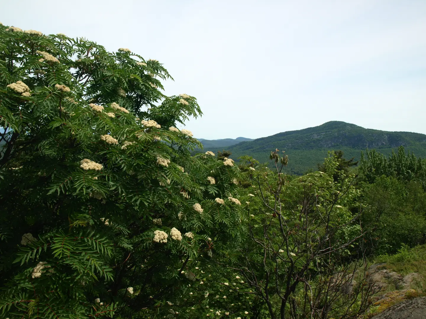 Pharaoh Mountain Wilderness - a serene seven-pack