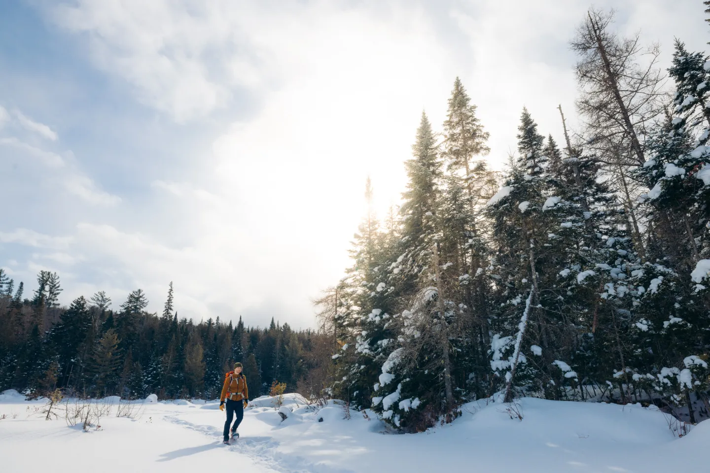Snowy Solitude in the Southern Adirondacks