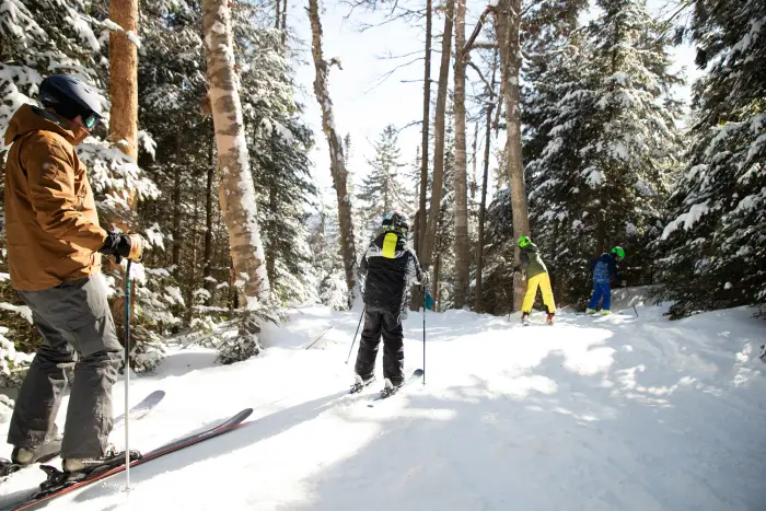 Three skiers on a snowy ski trail face a wooded area