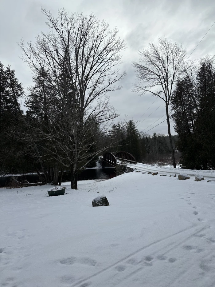 A wintry bridge covered in ice across a stream.