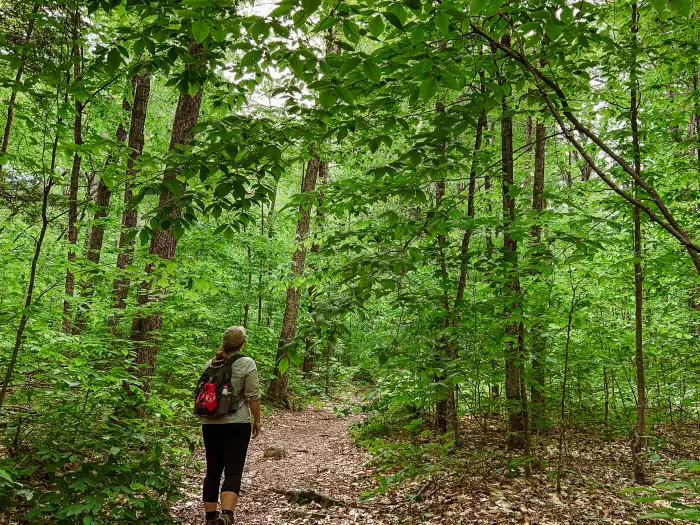 A woman hiking in a very green&#44; dense forest with a red bandana on her backpack