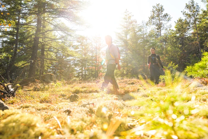 Two people hike in the woods as the sun shines upon them.