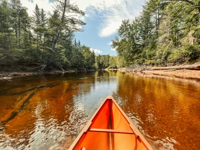 The bow of a canoe in a shallow river with a sandy bottom and pine trees along the shore.