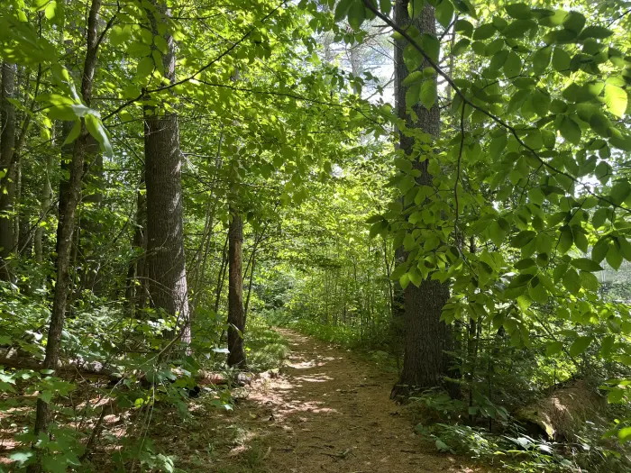 View of the trail walking towards the water