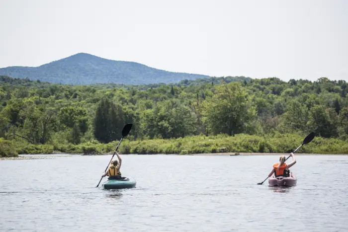 Two kayakers paddle towards shore on a sunny day in Newcomb