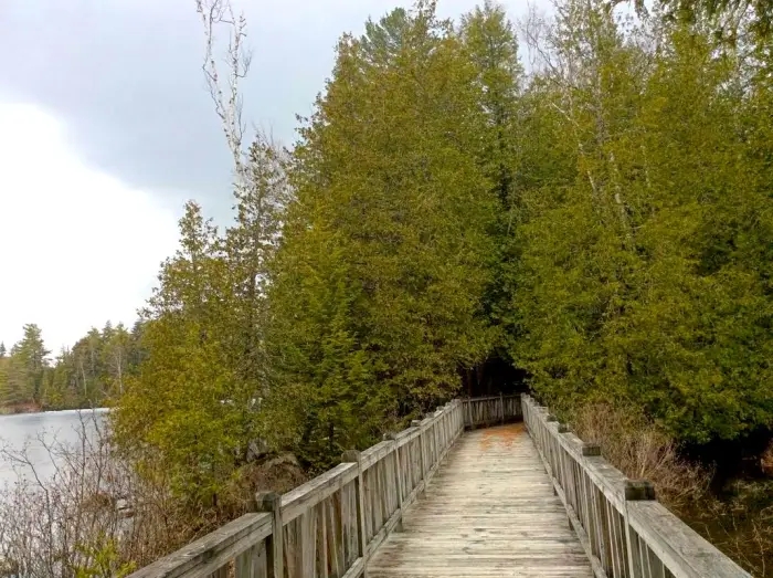 A wooden bridge passes by the water at the Adirondack Interpretive Center