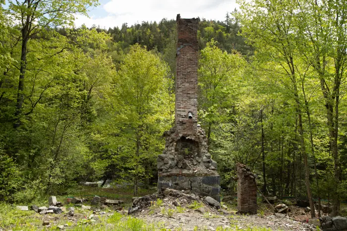 The broken remains of a chimney are all that are left of a building in a forest.