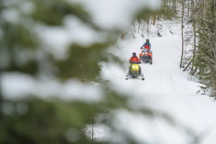 Two snowmobilers travel through a forest on groomed trails.