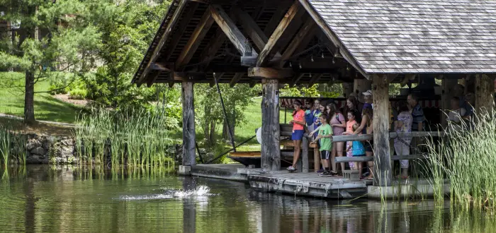 A group of adults and children view a fish jumping on a small pond.