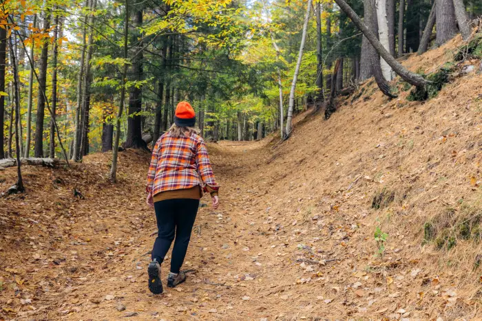 A hiker takes a walk through the forest