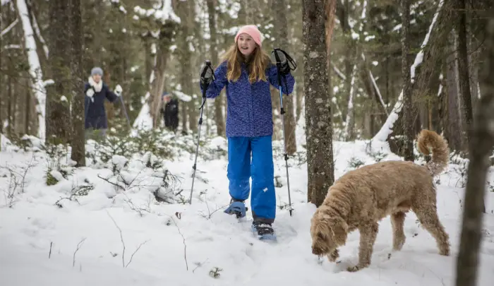 A young girl snowshoeing with her family and dog.