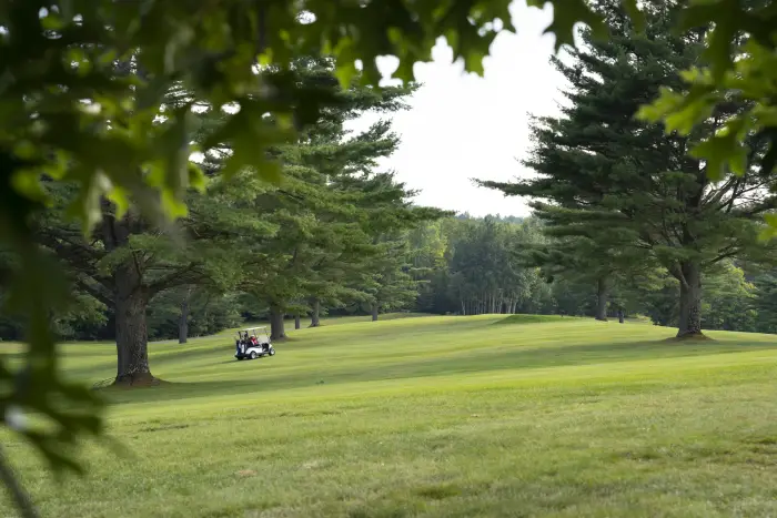 A duo drives a golf cart down a fairway on a green golf course