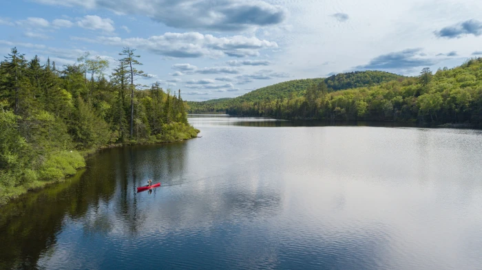 A woman carries a canoe over her head in a thick green forest.