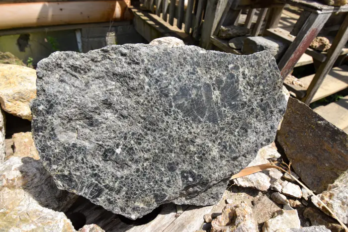 A slab of grey anorthosite rock.