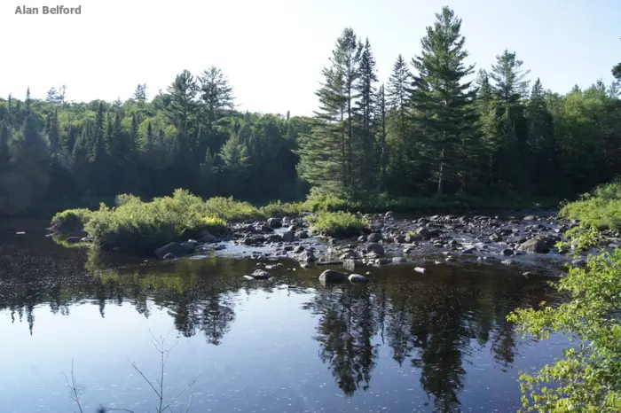 Hewitt Eddy - this image taken during the summer - isn't far from Route 28N.