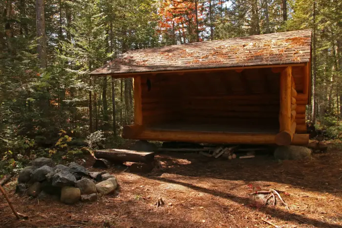 A campsite in a pine forest with lean-to&#44; rustic bench&#44; and stone fire pit.