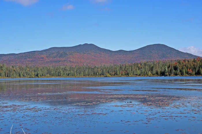 A pond with mountains in the background during fall.