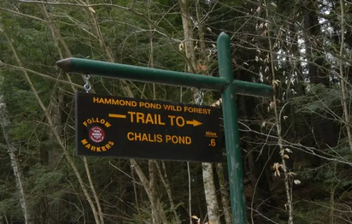 Challis trail sign