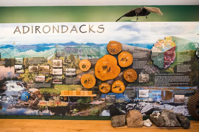 A large wall display about Adirondack natural history&#44; featuring tree slices&#44; large rocks&#44; and photos.