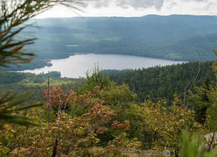 A view of a pond from through trees on a mountain