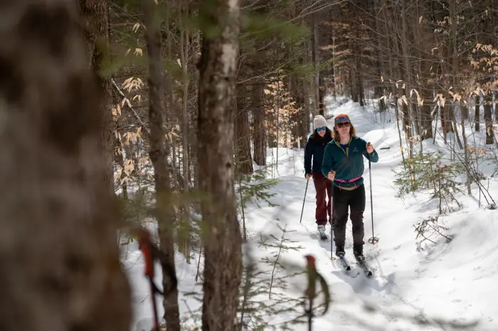 Two people ski through the woods on a narrow trail