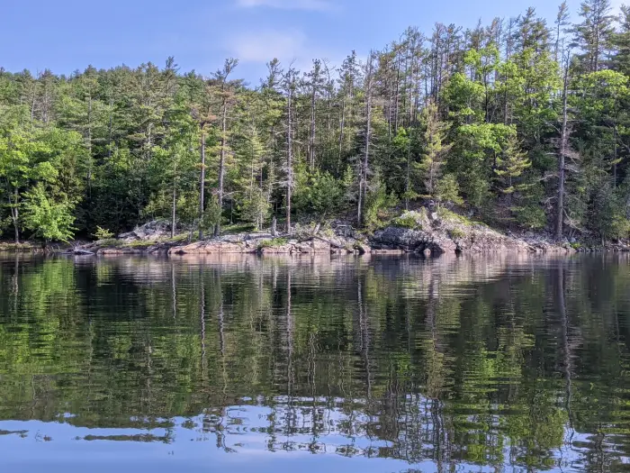 Trees on the shore of Paradox Lake in summer