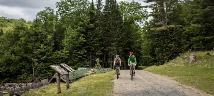 Two cyclists ride rugged bikes on a gravel road in the woods.