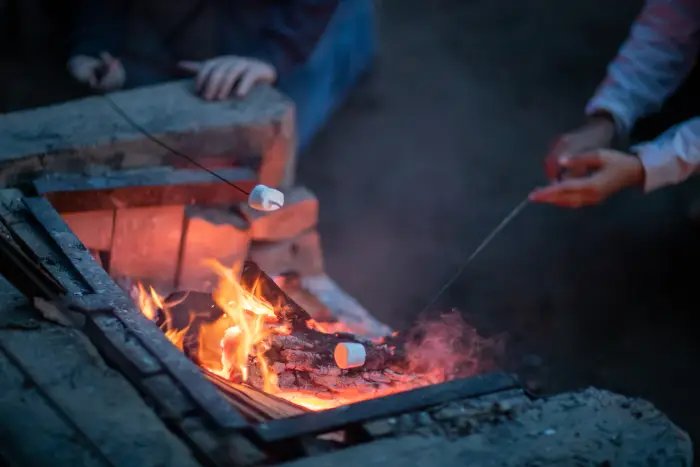 roasting marshmallows on an evening fire.