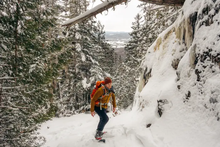 A snowshoer going up a forested trail