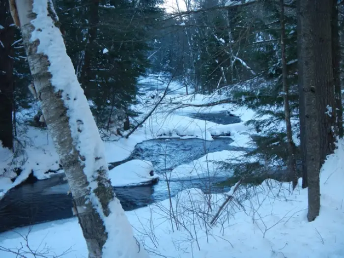 Schroon Brook from Sharp Bridge