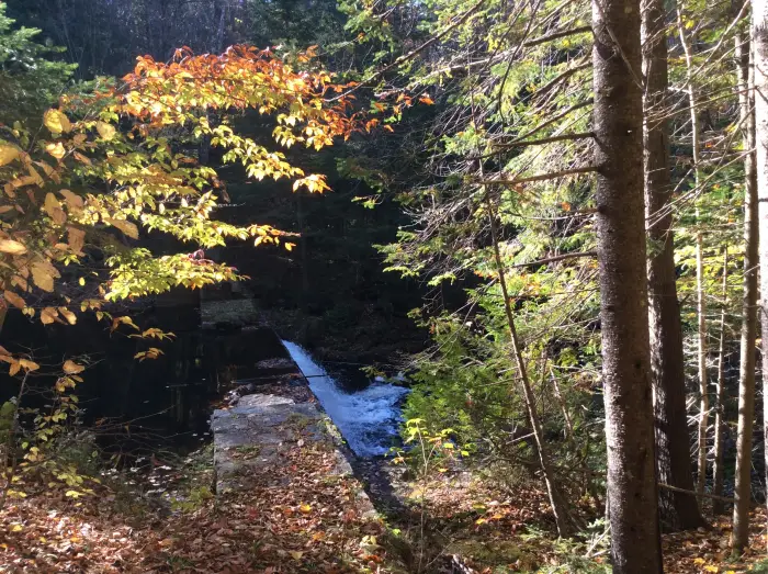 Fall leaves hang over a spillway granite dam.