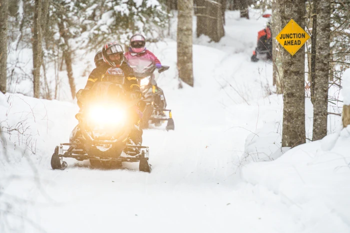 Two snowmobiles on a snowy trail