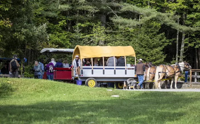 Wagon Rides