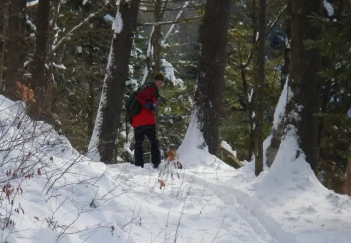 Sharp Bridge Trail