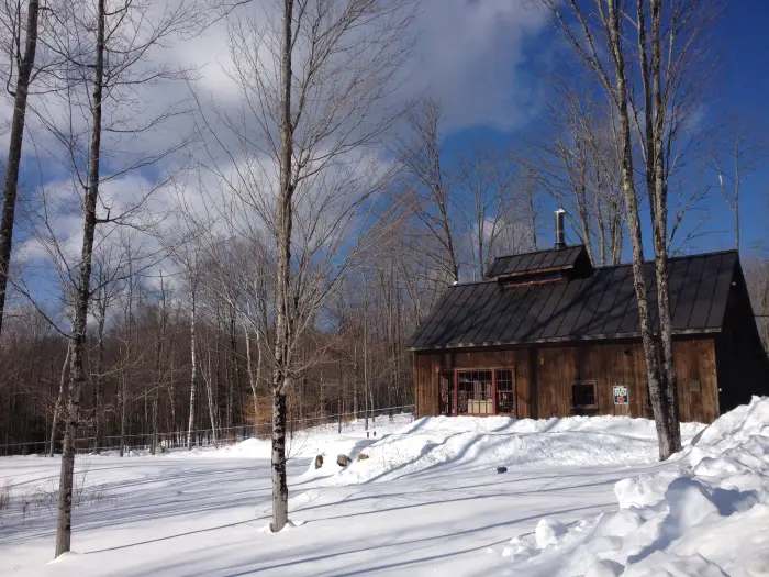 View of the sugar house against Maple Knoll’s sugar bush. 