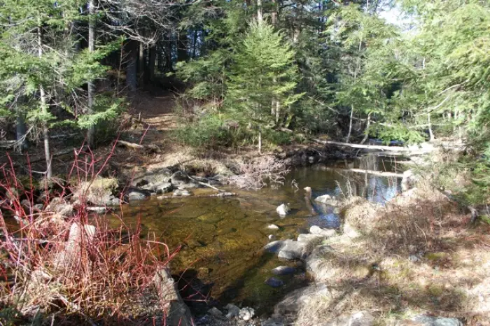 Bridge out on Hammond Pond Trail