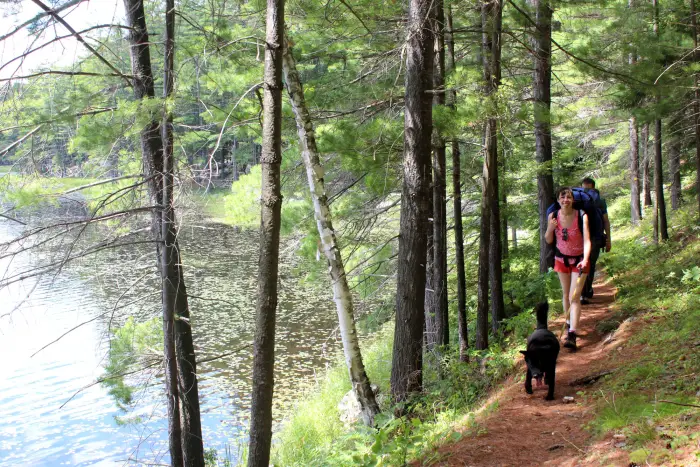 A woman wearing a backpack&#44; with a dog on a leash&#44; hikes a narrow trail alongside a lakeshore.