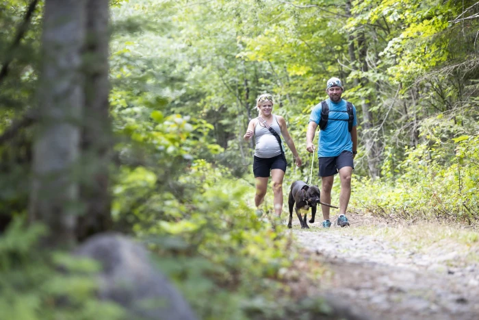 Family walking with their dog.